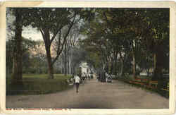Elm Walk , Washington Park Postcard