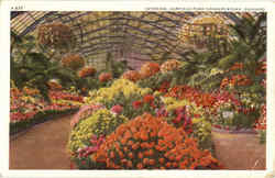 Interior Garfield Park Conservatory Chicago, IL Postcard Postcard