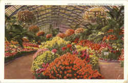 Interior Garfield Park Conservatory Postcard