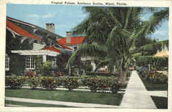 Tropical Foliage Miami, FL Postcard Postcard
