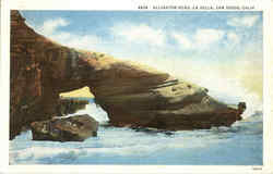 Alligator Head, La Jolla Postcard