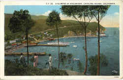A Glimpse Of Avalon Bay Postcard