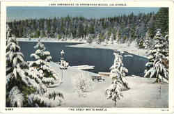 Lake Arrowhead California Postcard Postcard