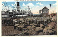 A Levee Scene In New Orleans Louisiana Postcard Postcard