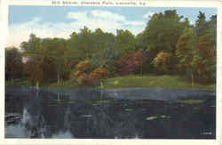 Still Stream, Cherokee Park Louisville, KY Postcard Postcard