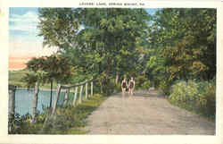 Lovers Lane Spring Mount, PA Postcard Postcard