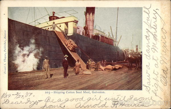 Shipping Cotton Seed Meal Galveston Texas