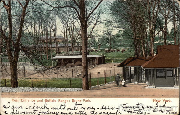 Bronx Park - Rear Entrance and Buffalo Range New York