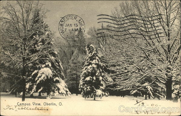 Campus View Oberlin Ohio