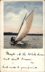 Sailing on White Bear Lake Postcard