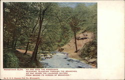 Minnehaha Glen Postcard