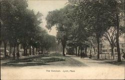 Scenic View of The Common Lynn, MA Postcard Postcard