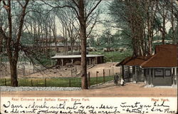 Bronx Park - Rear Entrance and Buffalo Range Postcard
