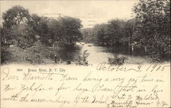 Bronx River Postcard