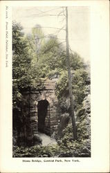 Central Park - Stone Bridge Postcard