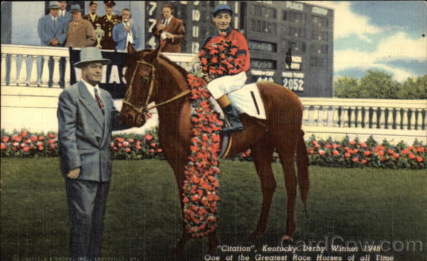 Citation, Kentuck Derby Winner 1948 - One of the Greatest Race Horses of All Time