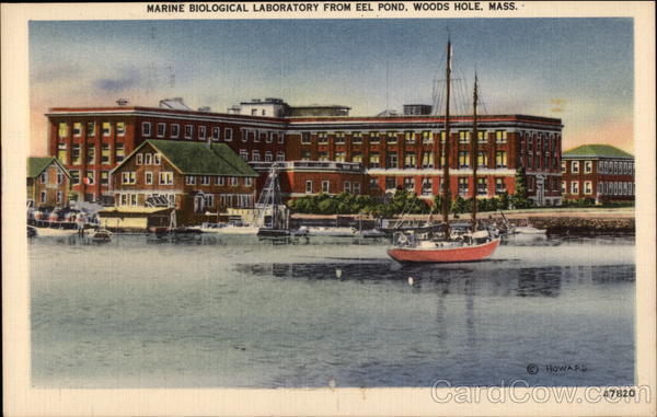 Marine Biological Laboratory from Eel Pond Woods Hole Massachusetts