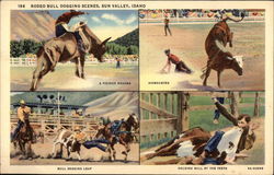 Rodeo Bull Dogging Scenes Sun Valley, ID Postcard Postcard