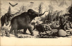 Giants of the Ice Age, Peabody Museum of Natural History, Yale University New Haven, CT Postcard Postcard