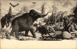 Giants of the Ice Age, Peabody Museum of Natural History, Yale University Postcard