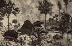 Early Reptiles and Amphibians, Peabody Museum of Natural History, Yale University Postcard