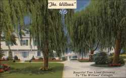 Beautiful Tree Lined Driveway To "The Willows" Cottages Postcard