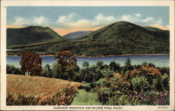Elephant Mountain and Wilson Pond Postcard