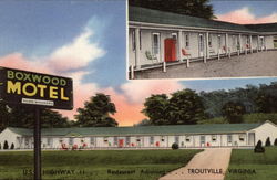 Boxwood Motel US Highway 11 Postcard