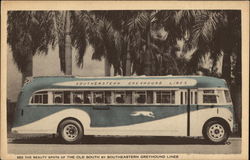 See the Beauty Spots of the Old South by Southeastern Greyhound Lines See the Beauty Spots of the Old South by Southeastern Greyhound Lines