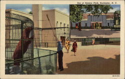 Zoo at Seneca Park Rochester, NY Postcard Postcard