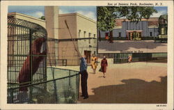 Zoo at Seneca Park Postcard