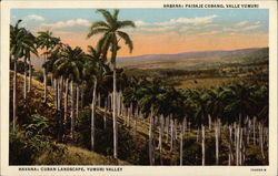 Cuban Landscape, Yumuri Valley Postcard