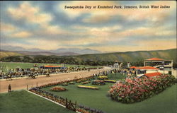 Sweepstake Day at Knutsford Park, Jamaica, British West Indies Kingston, Jamaica Postcard Postcard