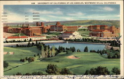University of California at Los Angeles, Westwood Hills Postcard