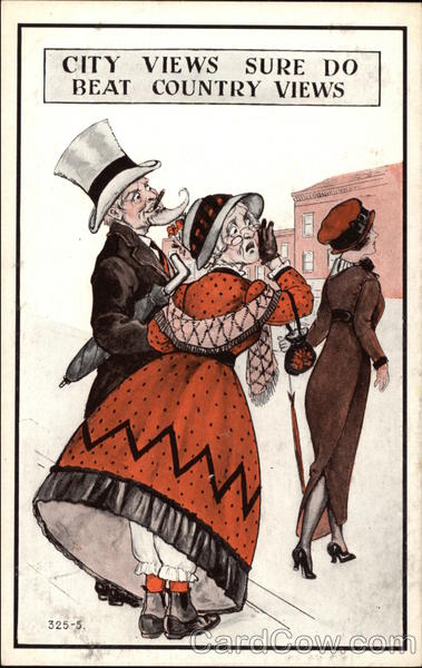 City Views Sure do Beat Country Views Comic, Funny