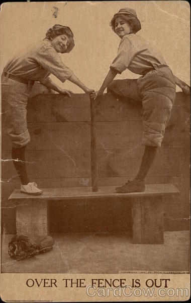 Over the Fence is Out Baseball