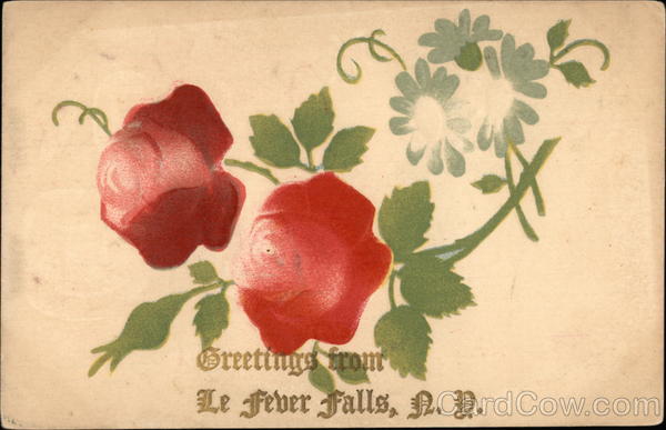 Greetings from Le Fever Falls, N.Y Lefever Falls New York