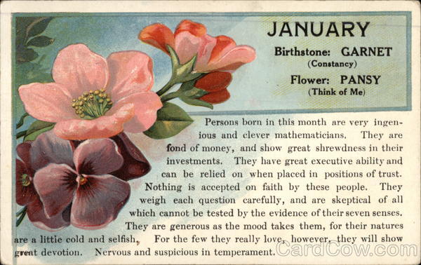  January Birthstone And Birth Flower Meaning And Significance