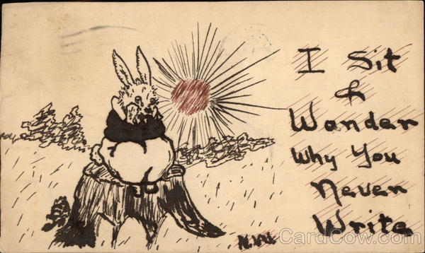 I Sit and Wonder Why you Never Write