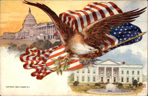 Eagle and American Flag, White House and Capitol Patriotic