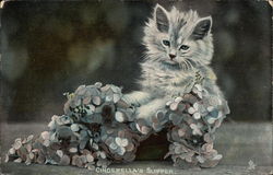 Cinderella's Slipper Postcard