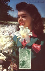 Easter Lilies, Bermuda Postcard