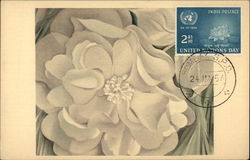 Georgia O'Keeffe: The White Flower Postcard