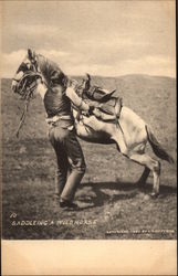 Saddleing a Wild Horse Postcard