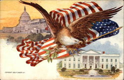 Eagle and American Flag, White House and Capitol Postcard