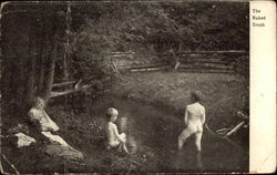 The Naked Truth Boys Postcard Postcard