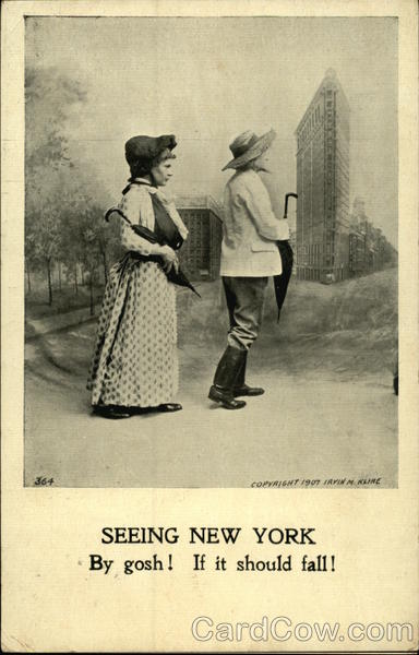 Seeing New York By Gosh! If it Should Fall! New York City