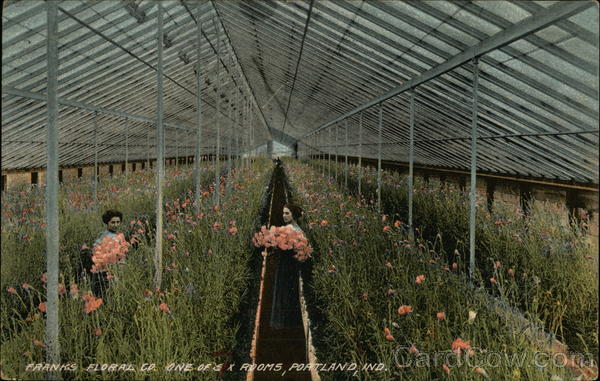 Franks Floral Co. - One of Six Rooms Portland Indiana