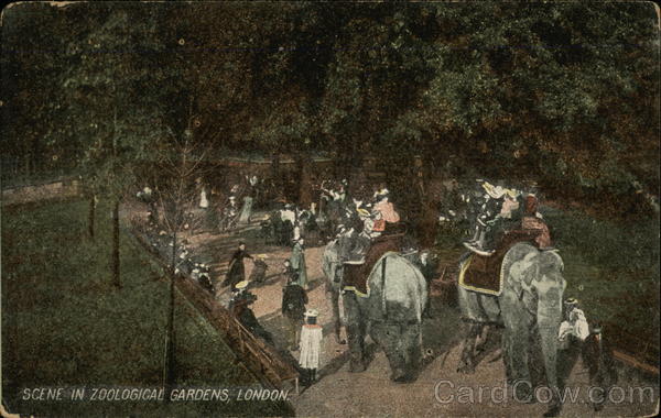 Scene in Zoological Gardens, London England