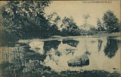 Vie at Longmeadow Vie at Longmeadow